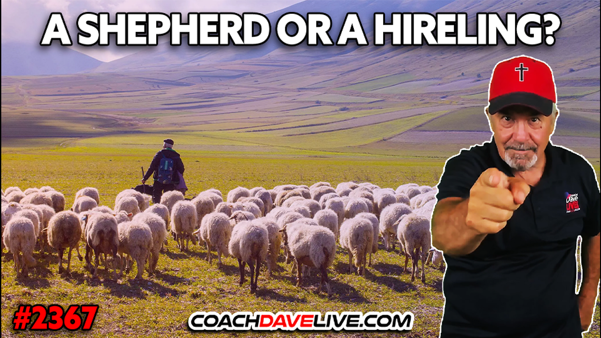 A SHEPHERD OR A HIRELING