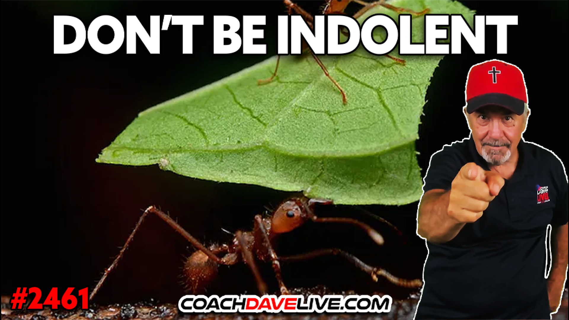 DONT BE INDOLENT