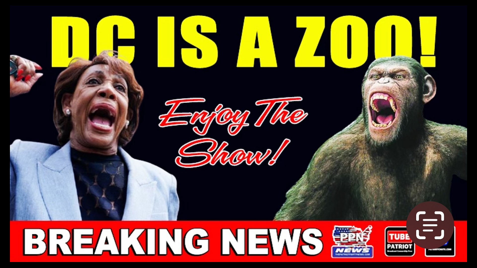DC is a zoo