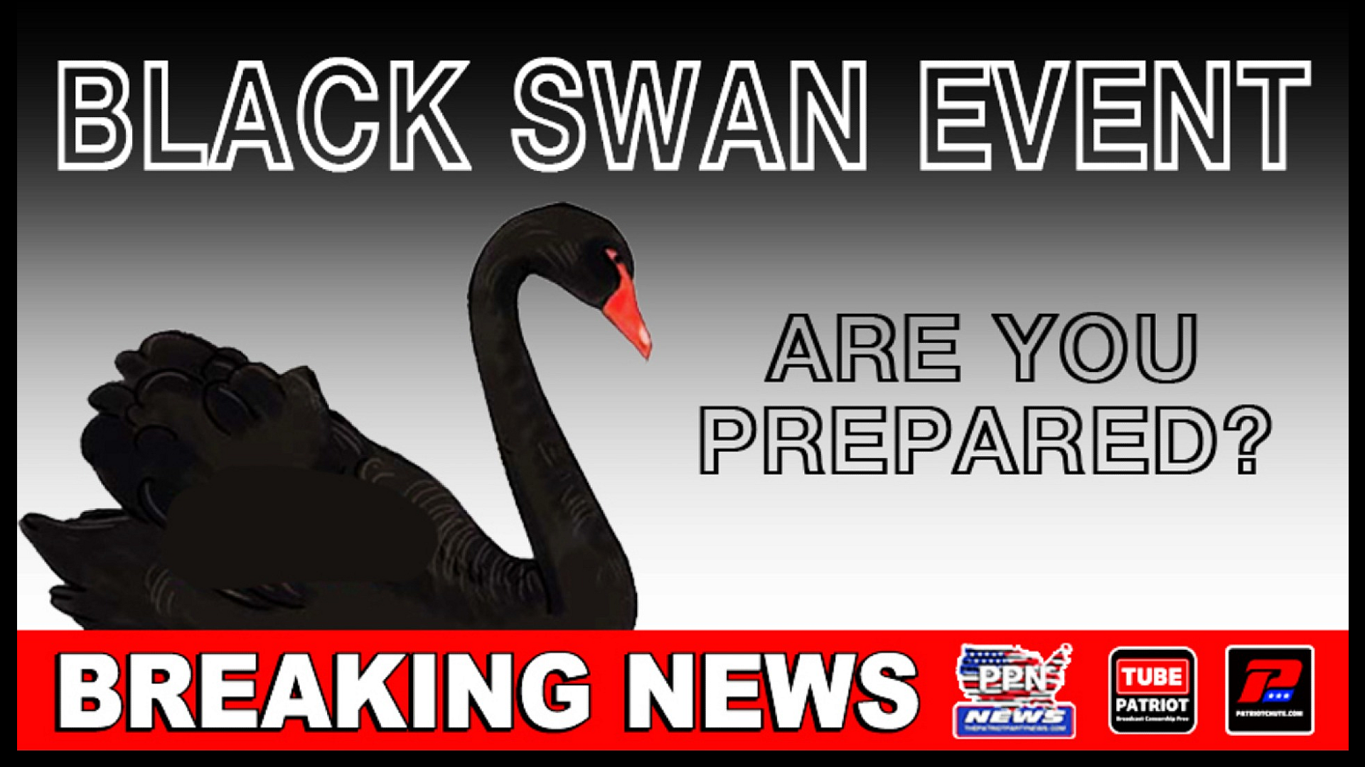 Black Swan Event